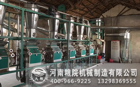 櫻中頚C 櫻中頚C