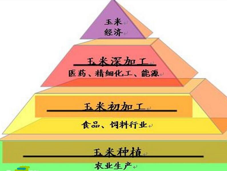 河南糧院玉米深加工設備提供玉米經濟金字塔 河南糧院玉米深加工設備提供玉米經濟金字塔