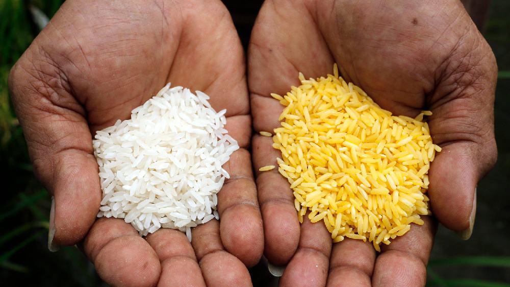 �S���׺ʹ��׵ı��^